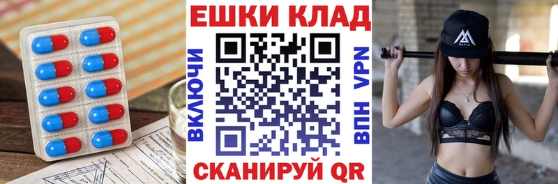 хочу наркоту  гидра ссылка  Ecstasy Philipp Plein  Сальск 