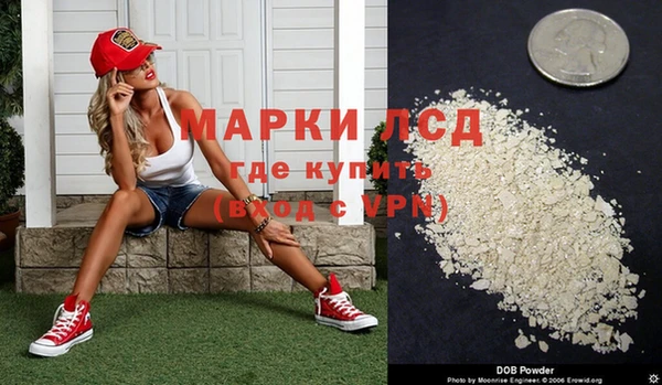 сатива Армянск