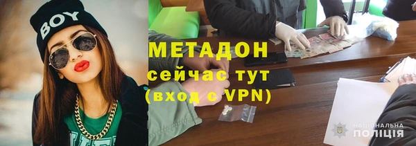 хмурый Аркадак