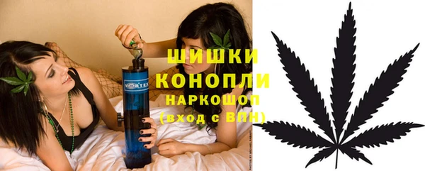 сатива Армянск