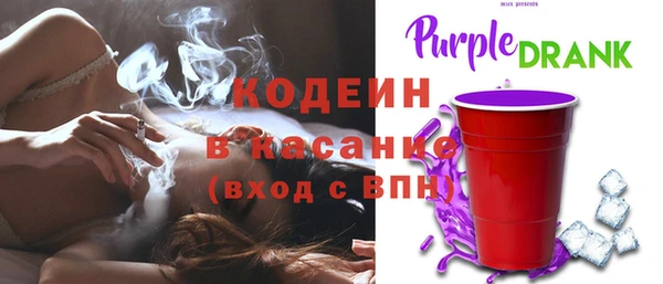 хмурый Аркадак