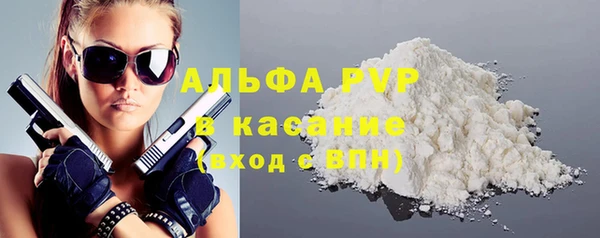 хмурый Аркадак