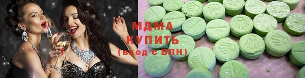 хмурый Аркадак