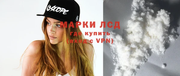 хмурый Аркадак