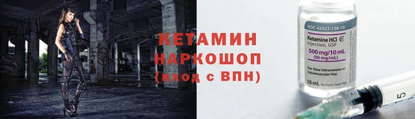 хмурый Аркадак