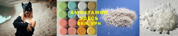 хмурый Аркадак