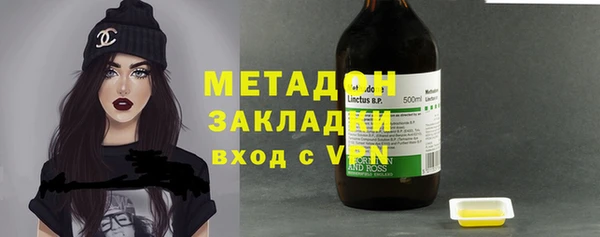 хмурый Аркадак