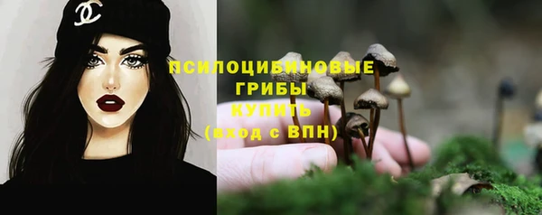 сатива Армянск