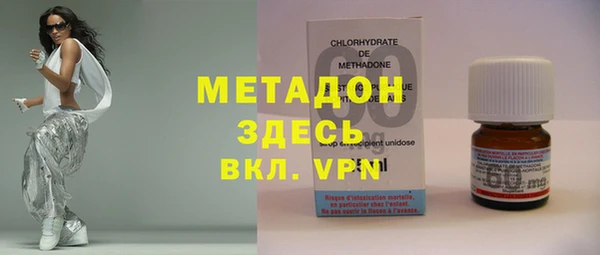 хмурый Аркадак