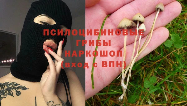 сатива Армянск