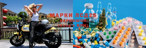 хмурый Аркадак