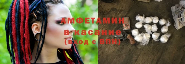 хмурый Аркадак