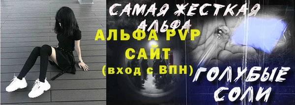 хмурый Аркадак